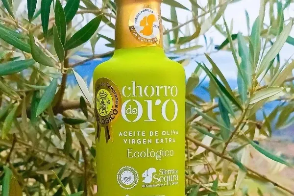 Chorro de oro , productor de Aceite en la localidad de Torres de Albánchez, Jaén