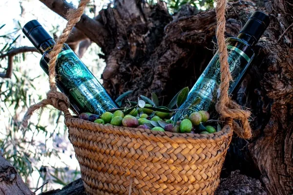 Señorio del Sabinal , productor de Aceite en la localidad de Osuna, Sevilla