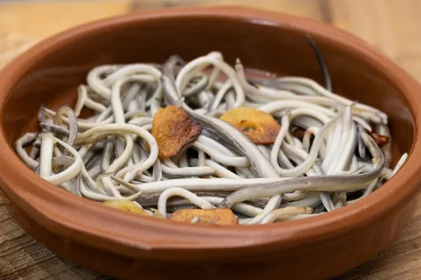 Angulas Río Miño , productor de Pescado en la localidad de Goián, Pontevedra