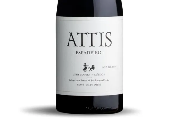 Attis Bodega y Viñedos , productor de Vino en la localidad de Meaño, Pontevedra