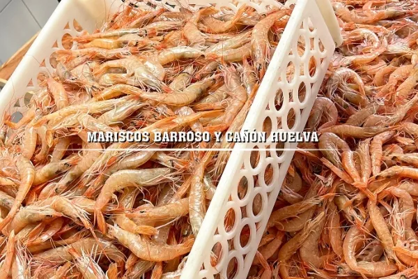 Mariscos Carroso y Cañón Huelva , productor de Pescado en la localidad de Huelva, Huelva