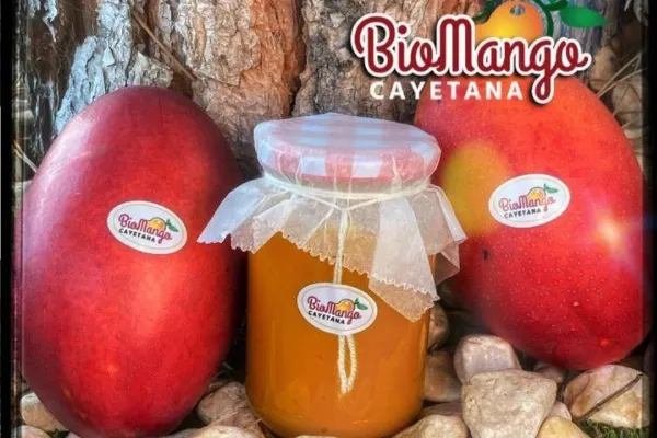 BioMango Cayetana