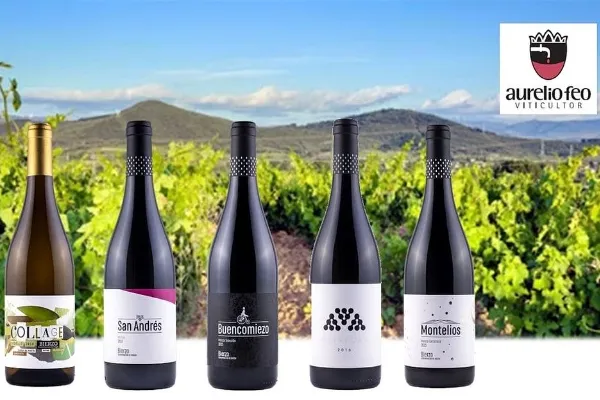 Bodega Feo , productor de Vino en la localidad de San Andrés de Montejos, León