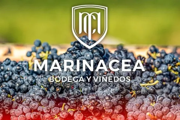 Marinacea Bodega y Viñedos , productor de Vino en la localidad de Comarca de Toro, Zamora