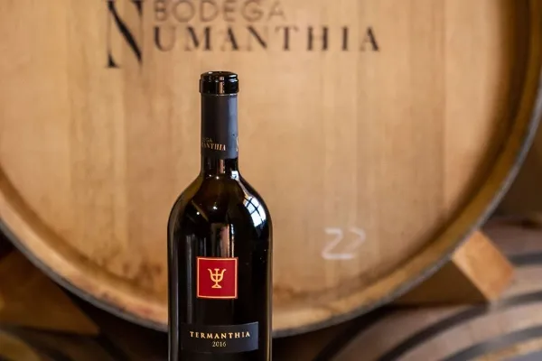 Bodega Numanthia , productor de Vino en la localidad de Valdefinjas, Zamora