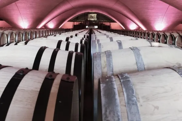 Bodega Otazu , productor de Vino en la localidad de Otazu, Nafarroa