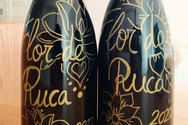 Bodegas y Viñedos Ruca , productor de Vino en la localidad de Puebla del Salvador, Cuenca