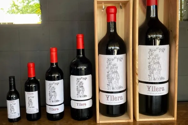 Yllera Bodegas & Viñedos , productor de Vino en la localidad de Rueda, Valladolid