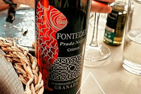 Bodegas Fontedei , productor de Vino en la localidad de Deifontes, Granada