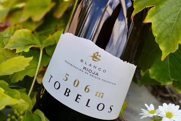 Tobelos Bodegas y Viñedos , productor de Vino en la localidad de Briñas, La Rioja