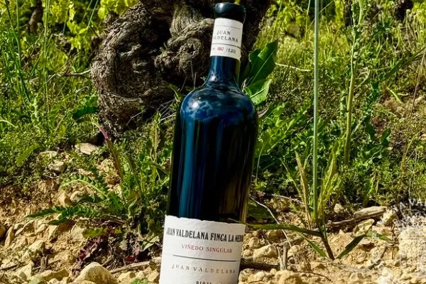 Bodegas Valdelana , productor de Vino en la localidad de Elciego, Araba