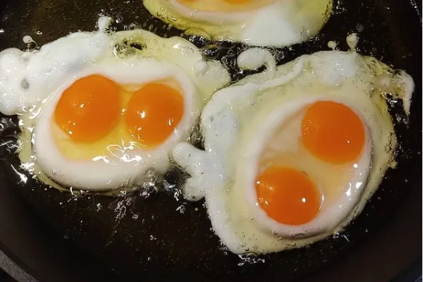 Camperos García Panero , productor de Huevos en la localidad de Tardáguila, Salamanca