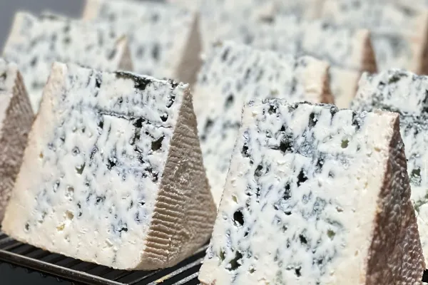 Granja Cantagrullas , productor de Queso en la localidad de Ramiro, Valladolid