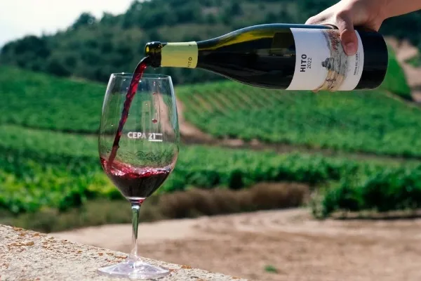 Bodegas Cepa 21 , productor de Vino en la localidad de Castrillo de Duero, Valladolid