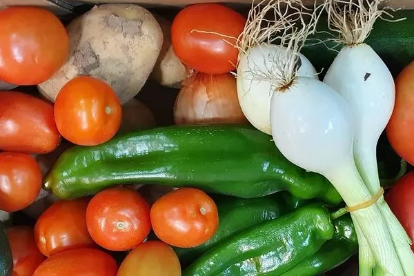 BioMilanés , productor de Verduras en la localidad de Pizarra, Málaga