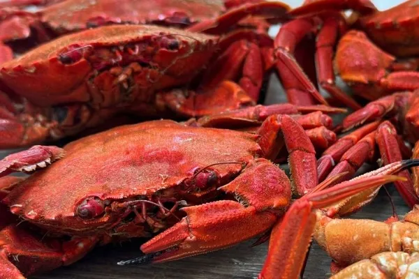 De la lonja a la mesa , productor de Pescado en la localidad de León, León