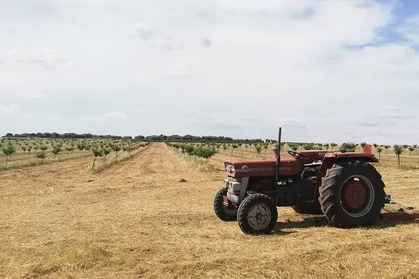 Ecohué , productor de Carne en la localidad de Cáceres, Cáceres