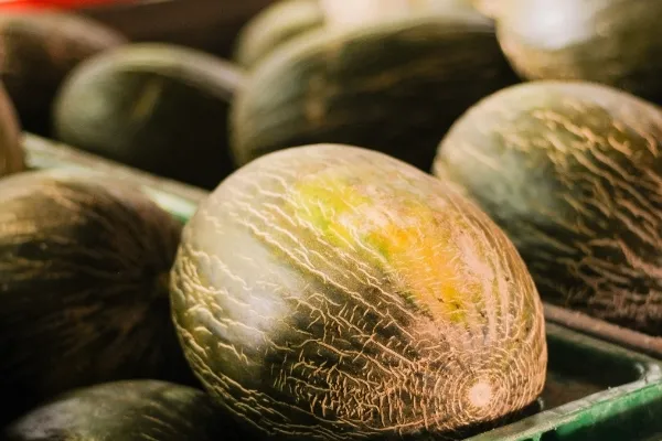 El Secreto De Mi Tierra , productor de Fruta en la localidad de Torremolinos, Málaga