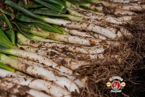 El Guardià Calçots , productor de Verduras en la localidad de La Guàrdia, Lleida