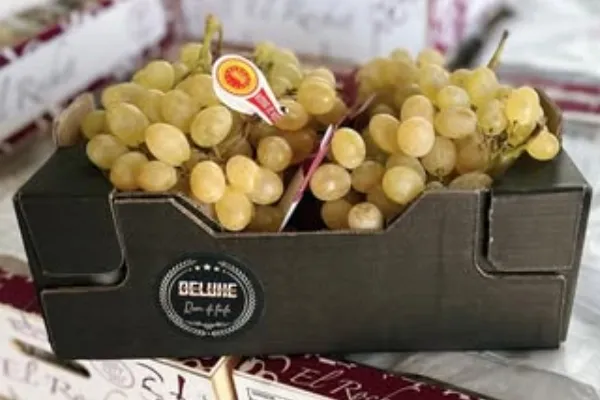 El Rochet Uva de Mesa es un productor de Fruta en la localidad de Valle del Vinalopó, Alacant