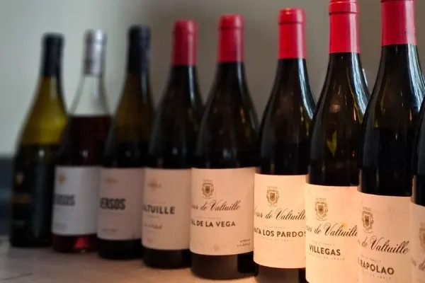 Estévez Bodegas y Viñedos , productor de Vino en la localidad de Valtuille de Abajo, León