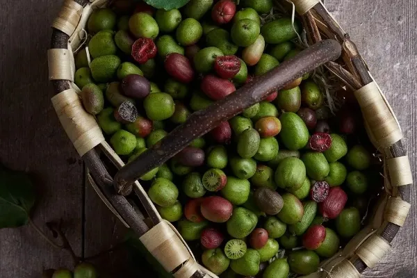 Kiwín , productor de Fruta en la localidad de Gijón, Asturias