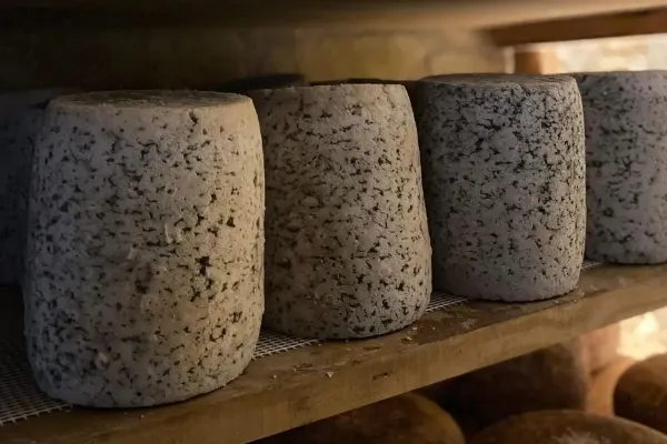 Formatgeria de Clua , productor de Queso en la localidad de La Clua, Lleida