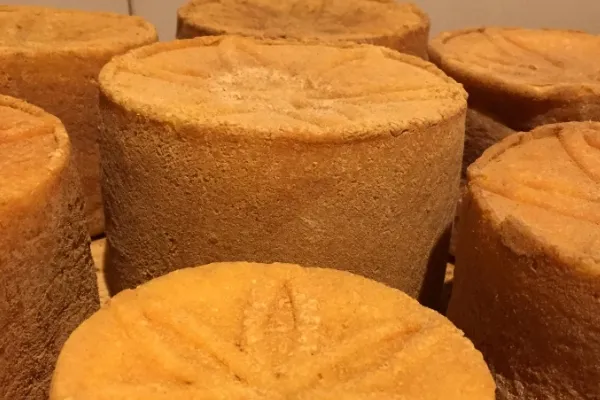 Formatges del Pujol-Orra , productor de Queso en la localidad de Les Llosses, Girona