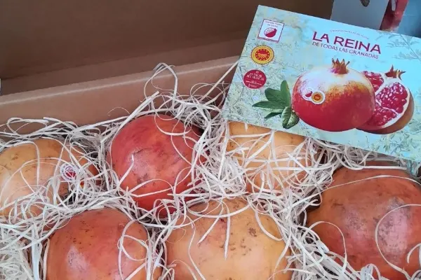 Granadas de Elche , productor de Fruta en la localidad de Elche, Alacant