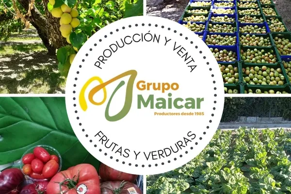 Grupo Maicar , productor de Fruta en la localidad de Zaragoza, Zaragoza