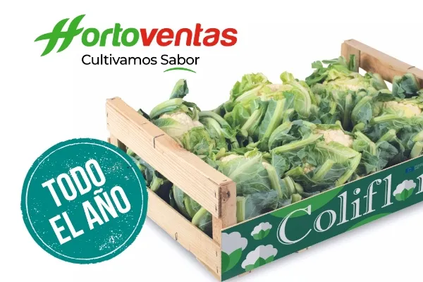 Hortoventas , productor de Verduras en la localidad de Ventas de Zafarraya, Granada