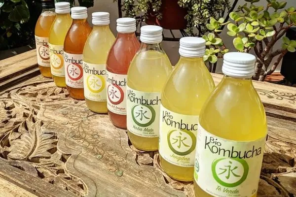 Biokombucha , productor de Bebidas en la localidad de Conil de la Frontera, Cádiz