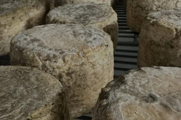 La Chata Quesos es un productor de Queso en la localidad de Matachana, León