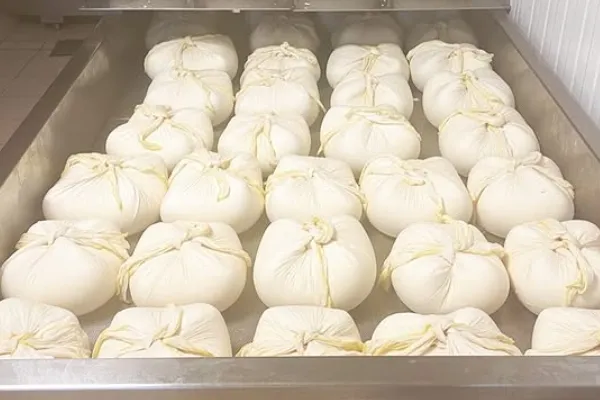 La Chata Quesos es un productor de Queso en la localidad de Matachana, León