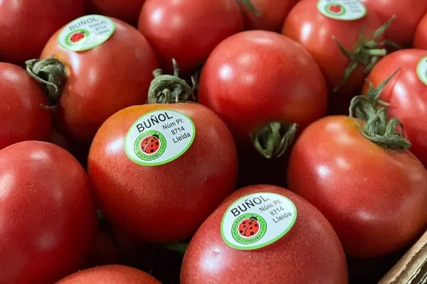 La Colònia , productor de Verduras en la localidad de Artesa de Segre, Lleida