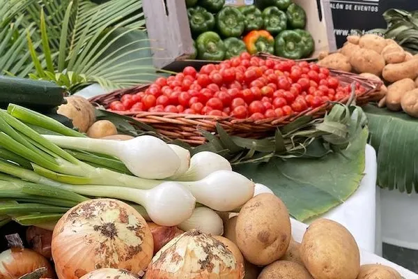 La Finquita de Mamabel , productor de Verduras en la localidad de Gran Canaria, Las Palmas