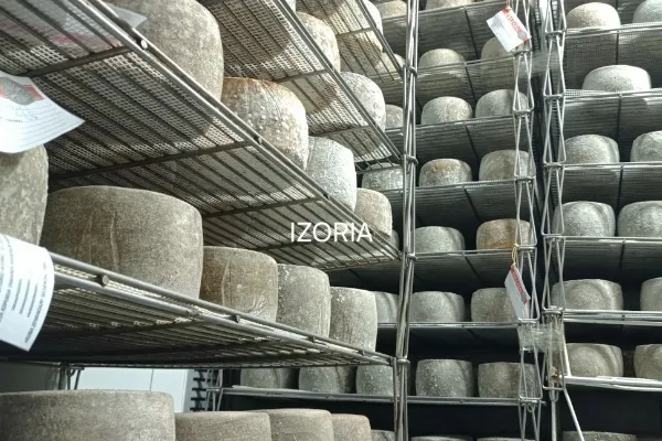 Izoria , productor de Queso en la localidad de Izoria, Araba