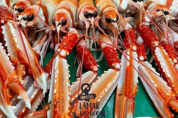 Mariscos La Mar de Rico , productor de Pescado en la localidad de Ayamonte, Huelva