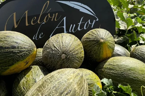 Melón de Autor , productor de Fruta en la localidad de Olesa de Montserrat, Barcelona