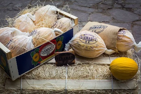 Melones Diamante , productor de Fruta en la localidad de Ontinyent, València