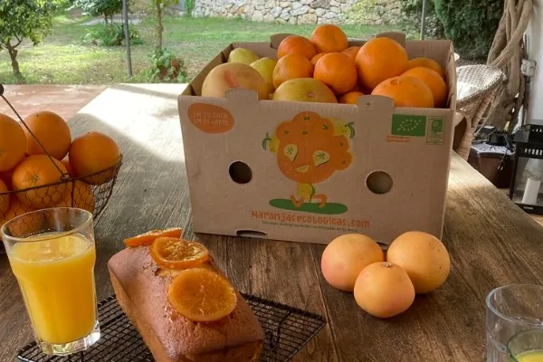 Naranjas Ecológicas , productor de Fruta en la localidad de Mairena del Alcor, Sevilla