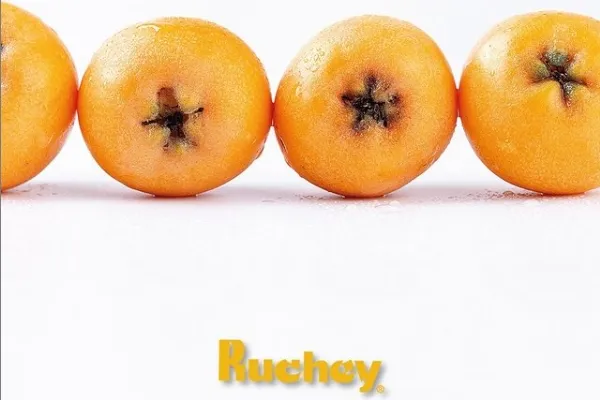 Nísperos Ruchey , productor de Fruta en la localidad de Callosa d´en Sarrià, Alacant