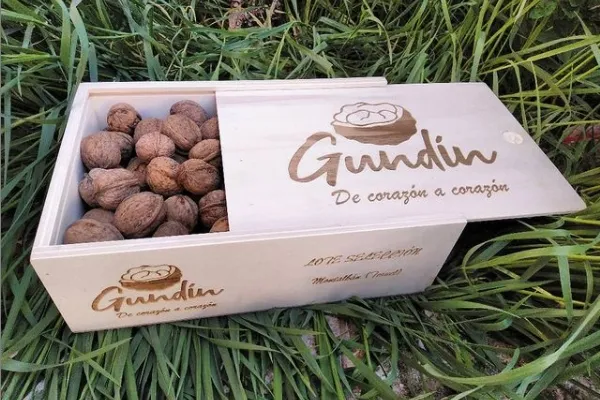 Nueces Gundín , productor de Frutos Secos en la localidad de Montalbán, Teruel