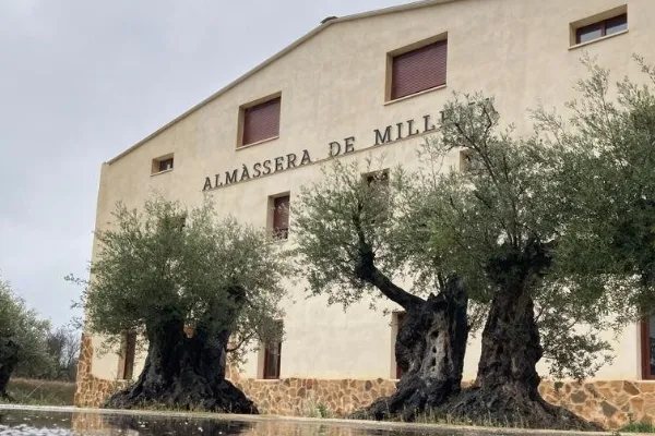 Almàssera de Millena , productor de Aceite en la localidad de Millena, Alacant