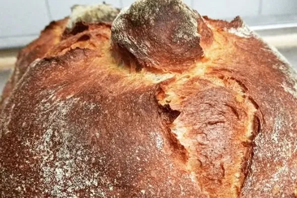 Panadería El Plantío es un productor de Pan en la localidad de Ponferrada, León