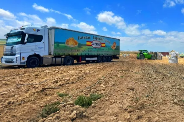 Patatas Catalán , productor de Verduras en la localidad de Getafe, Madrid