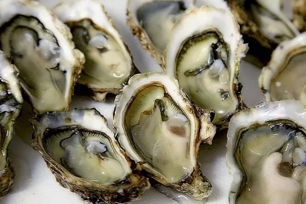 Peixos de Palamós , productor de Pescado en la localidad de Palamós, Girona