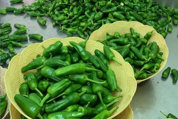 Pementos Carmucha , productor de Verduras en la localidad de Herbón, A Coruña