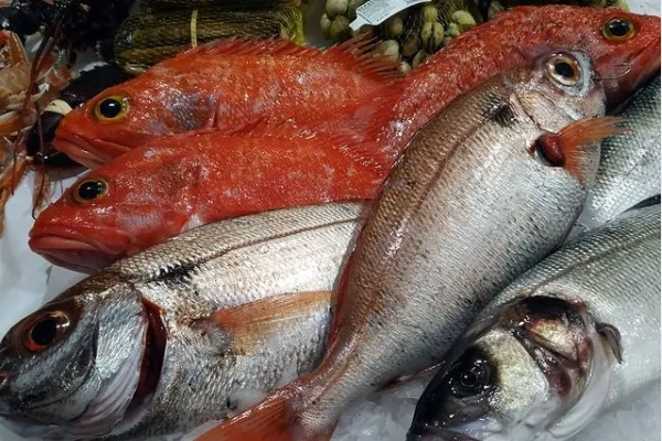 Pescadería Nortemar , productor de Pescado en la localidad de A Coruña, A Coruña