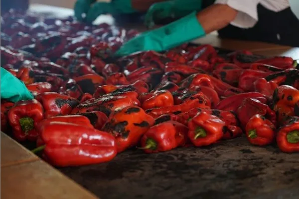 Prada a Tope , productor de Verduras en la localidad de Canedo, León